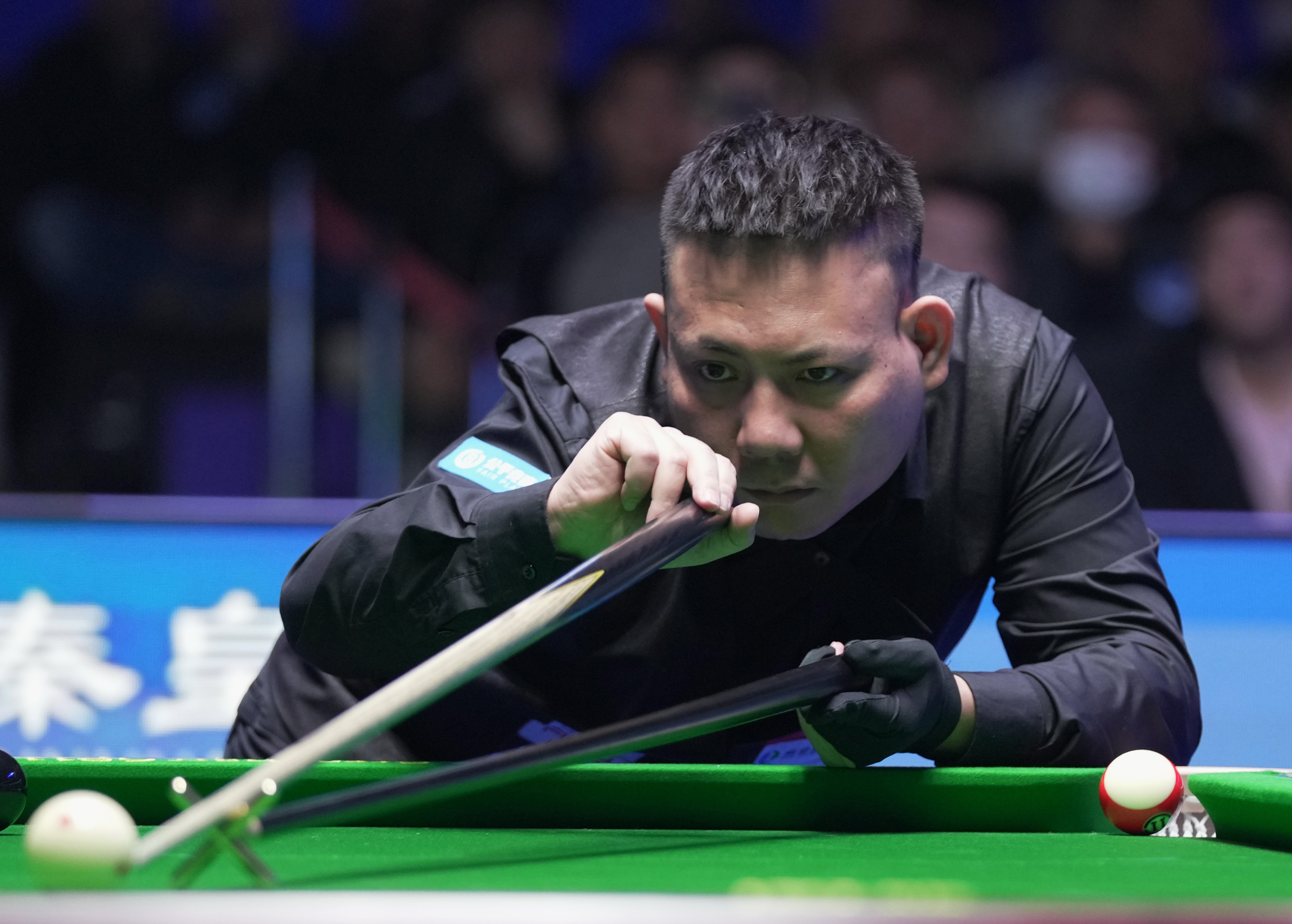 球的热爱 球的热爱